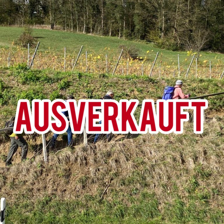 Verkostungsbeispiel von Galina Holzer