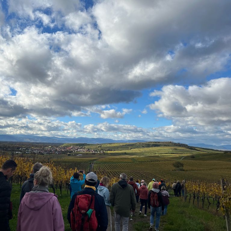 Verkostungsbeispiel von Galina Holzer